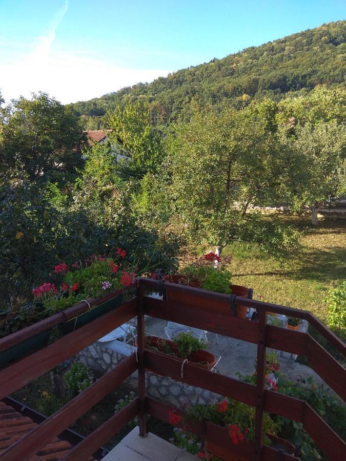 Apartman U Bukovickoj Banji Arandjelovac Exterior foto